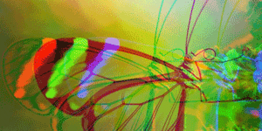 Stylised image of butterfly.