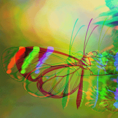 Stylised image of butterfly.