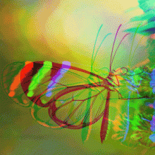 Stylised image of butterfly.